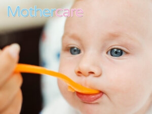 Las Mejores Ofertas de papilla pavo bebé 6 meses para tu pequeño